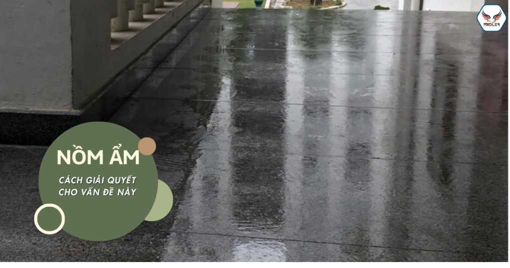 Nồm ẩm cách giải quyết