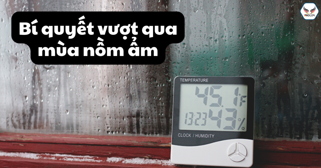 Nồm ẩm ảnh hưởng ra sao